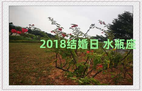 2018结婚日 水瓶座